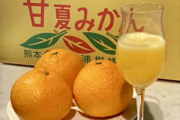 【期間限定】熊本県産・甘夏の生搾りジュース